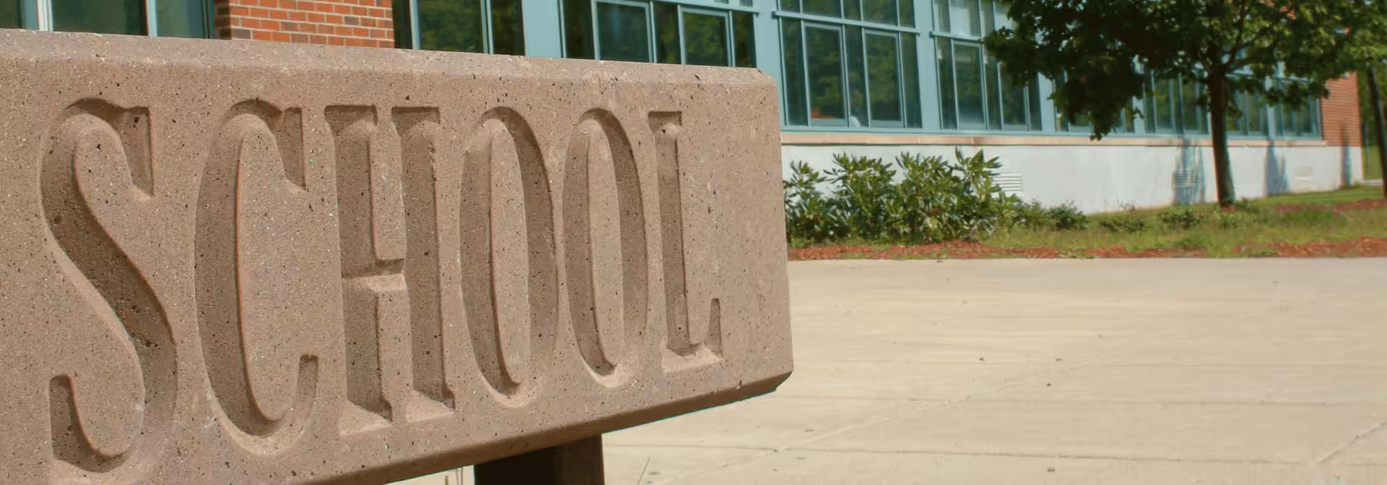 A sign with the word 'school' on it